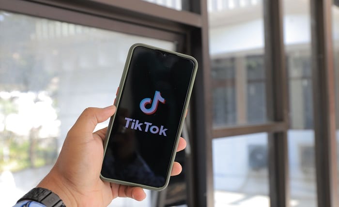 TikTok Downloader