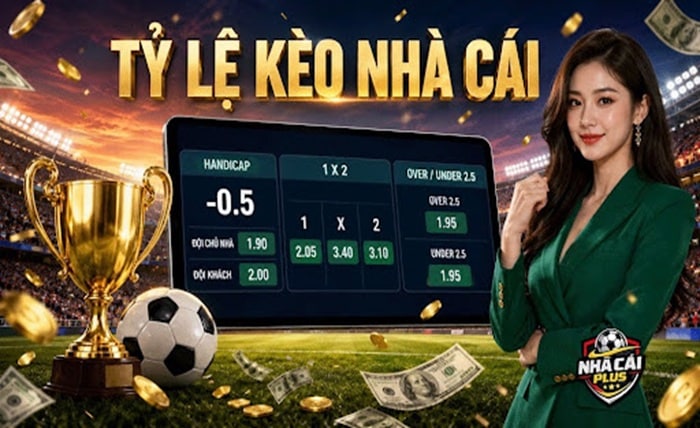 Bookmaker Odds